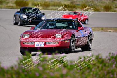 media/Mar-16-2024-Speed Ventures (Sat) [[b18ee68d62]]/Purple Group/Session 2 (The Bowl)/